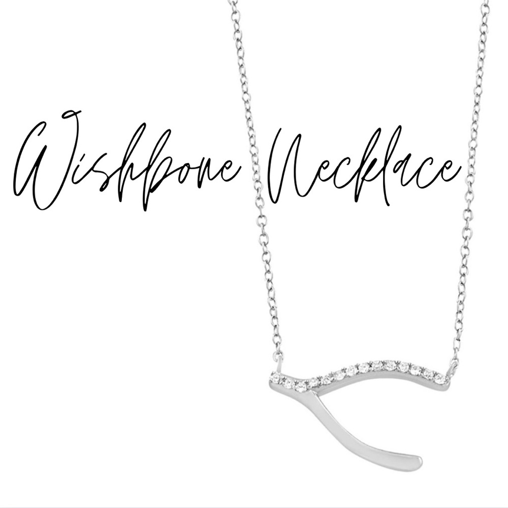 Sterling Silver Cubic Zirconia Sideways Wishbone Necklace (18 inch)